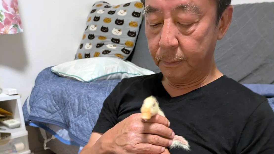 30代女性イラスト