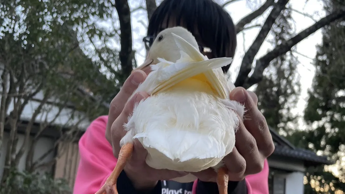 30代女性イラスト