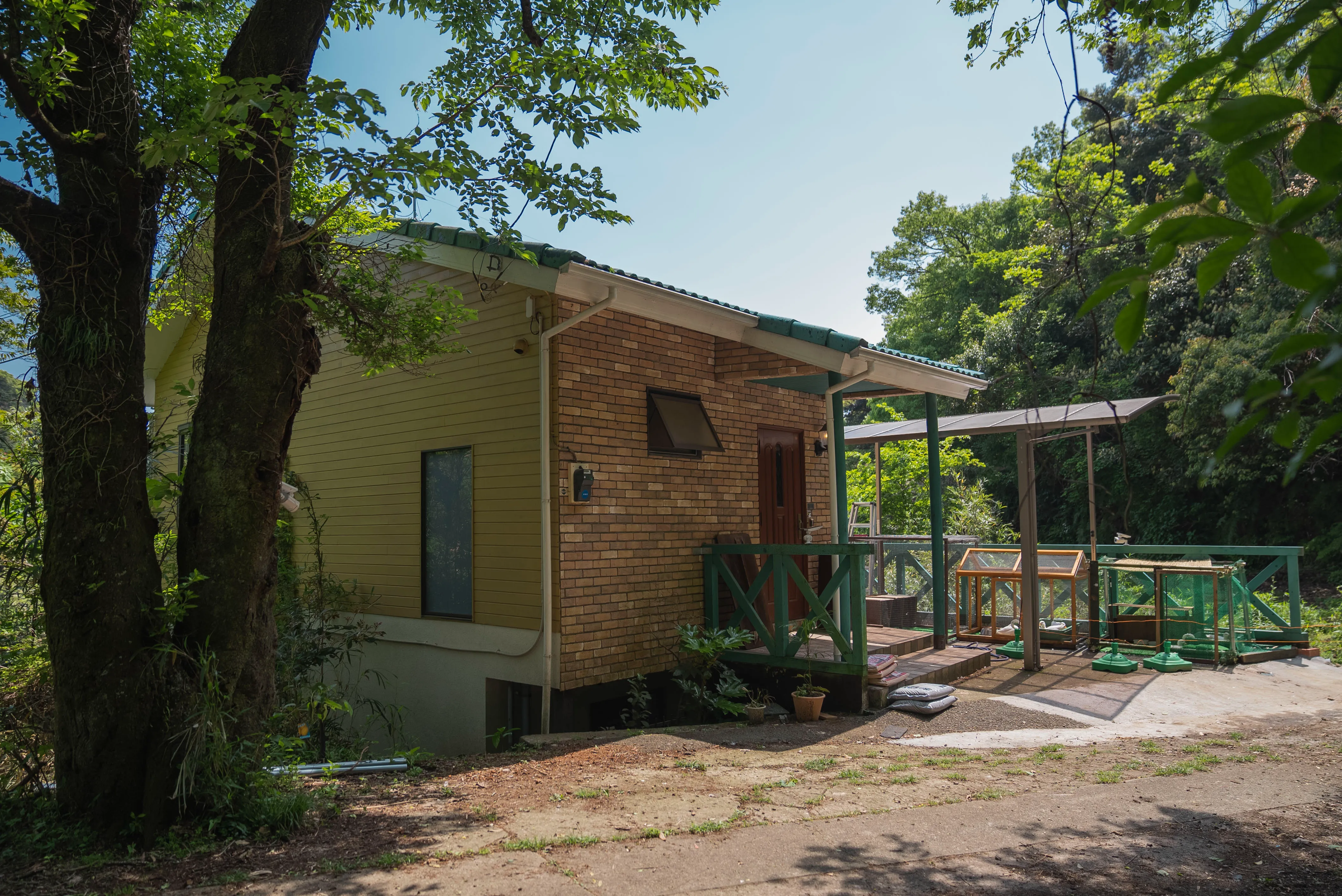 コールダックのひよこ